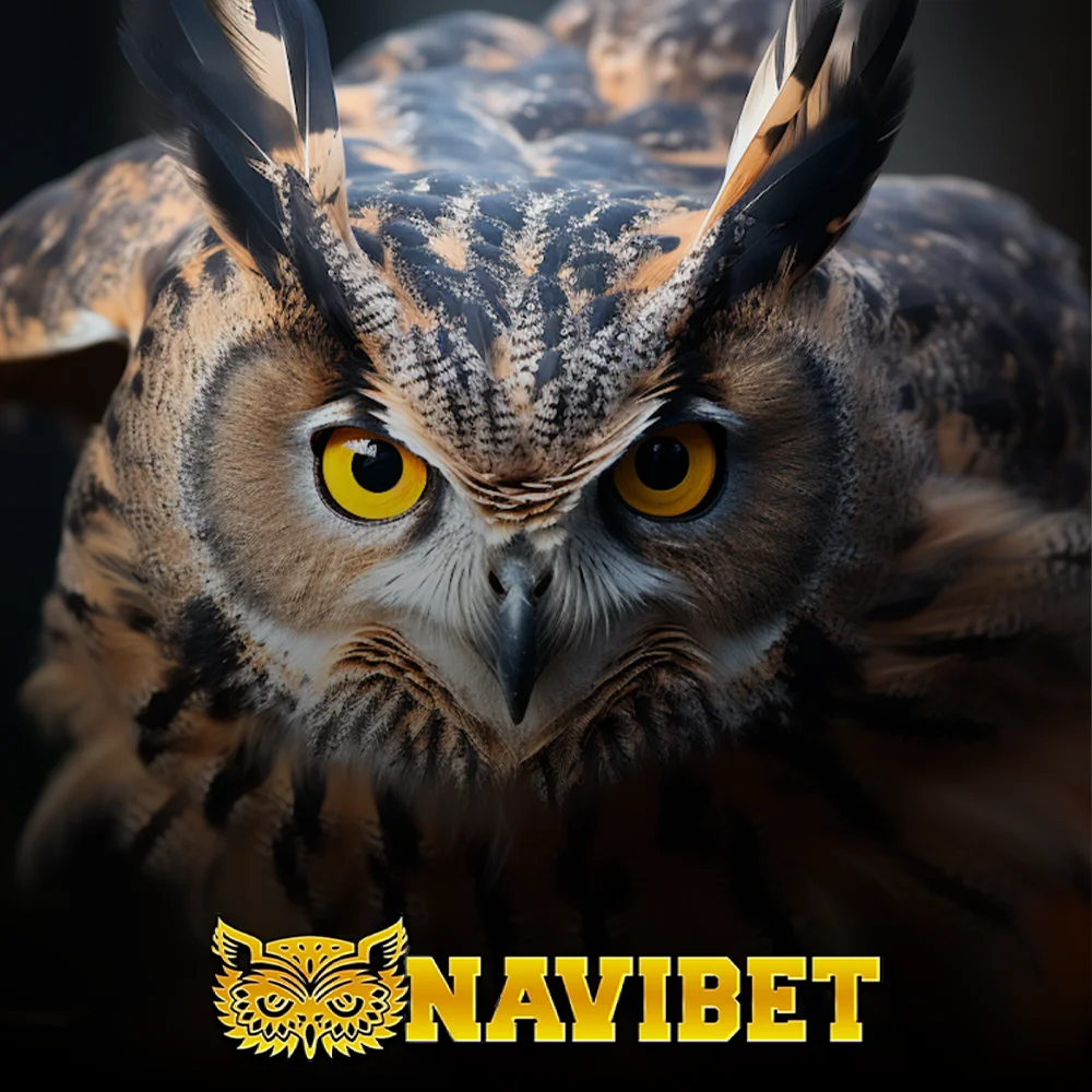 navibet